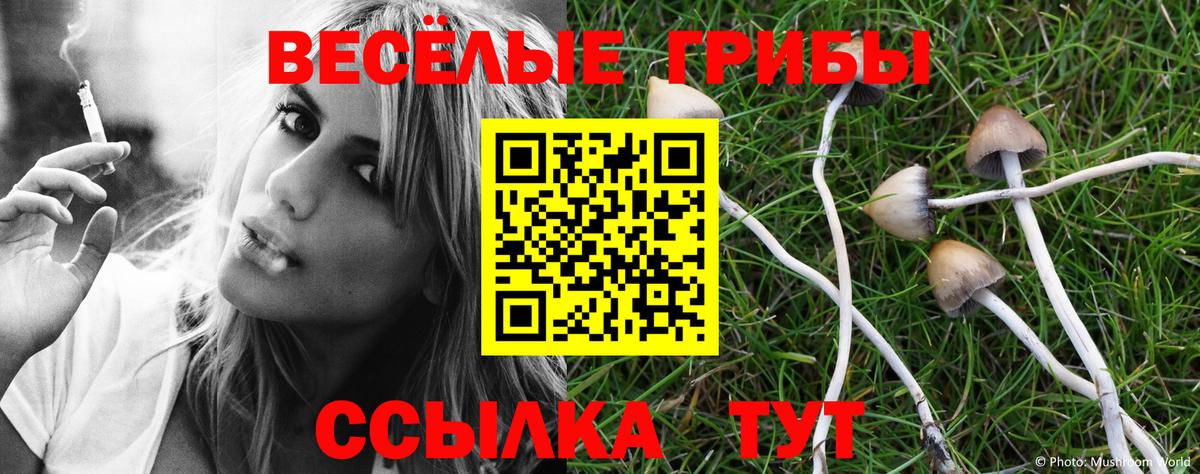 Галлюциногенные грибы мухоморы Прокопьевск