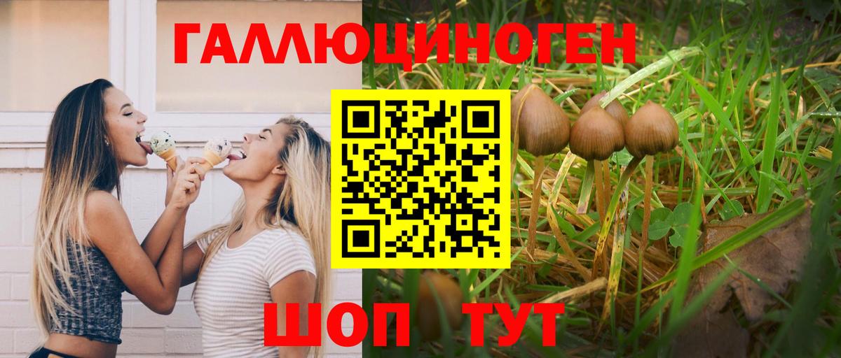 дарнет шоп  Вход с VPN  Прокопьевск  Галлюциногенные грибы мухоморы 